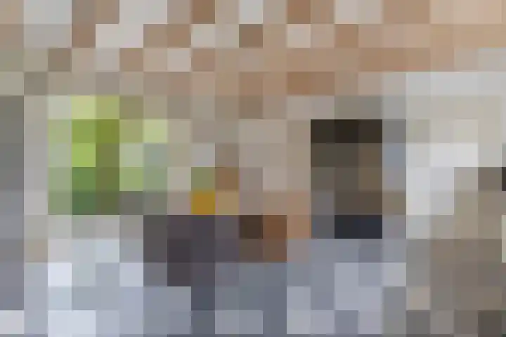 Hegewei 11 Nijega thumbnail 24