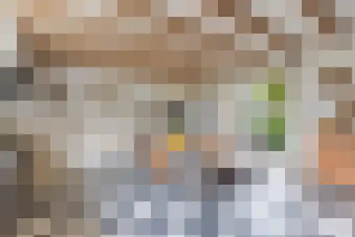 Hegewei 11 Nijega thumbnail 25