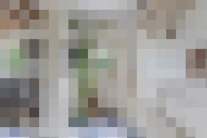 Hegewei 11 Nijega thumbnail 26