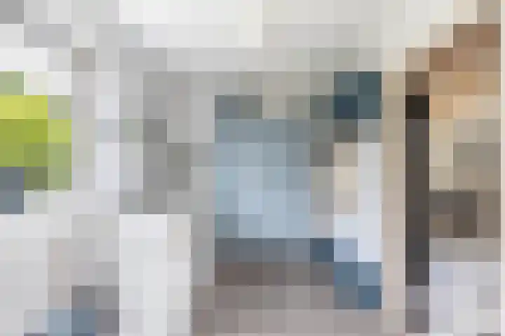 Hegewei 11 Nijega thumbnail 27