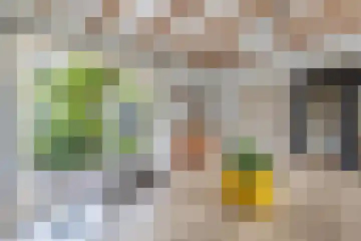 Hegewei 11 Nijega thumbnail 28