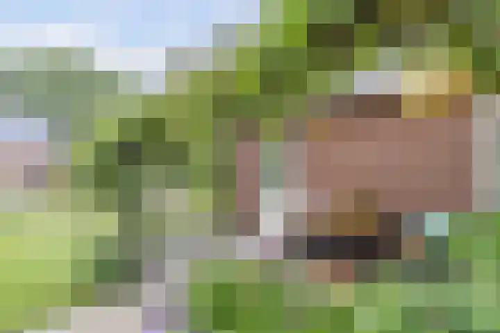 Hegewei 11 Nijega thumbnail 30