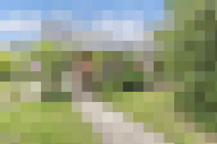Hegewei 11 Nijega thumbnail 31