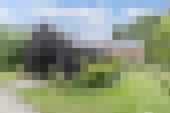 Hegewei 11 Nijega thumbnail 33