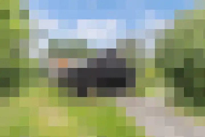 Hegewei 11 Nijega thumbnail 34