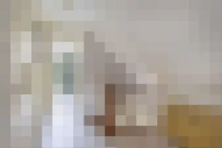 Hegewei 11 Nijega thumbnail 35