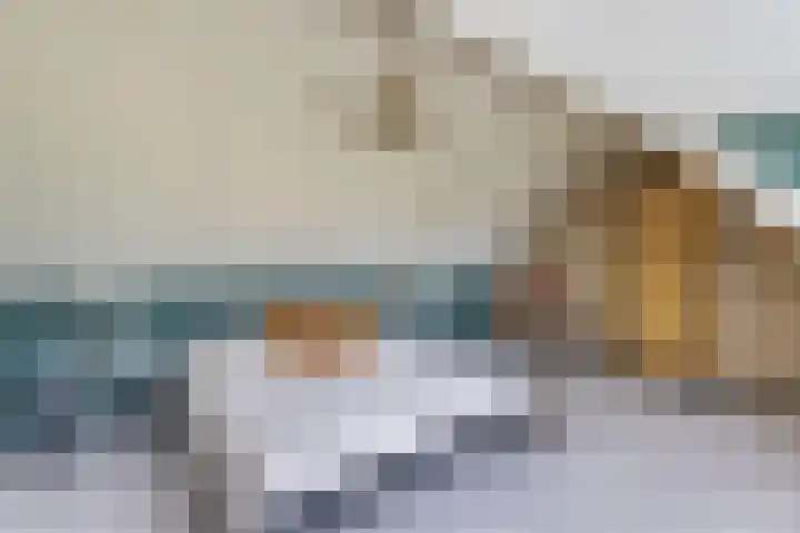 Hegewei 11 Nijega thumbnail 38