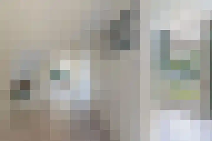 Hegewei 11 Nijega thumbnail 39
