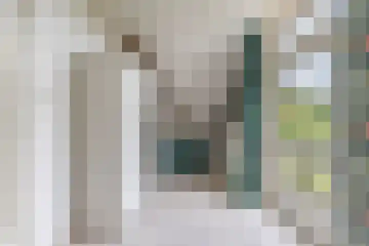 Hegewei 11 Nijega thumbnail 40