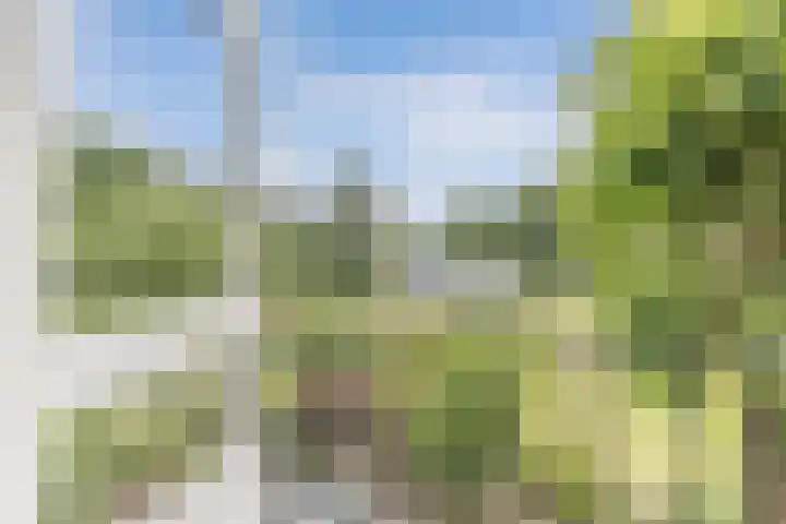 Hegewei 11 Nijega thumbnail 41