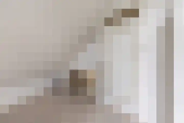 Hegewei 11 Nijega thumbnail 45
