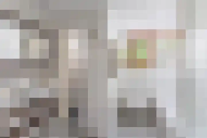 Hegewei 11 Nijega thumbnail 46