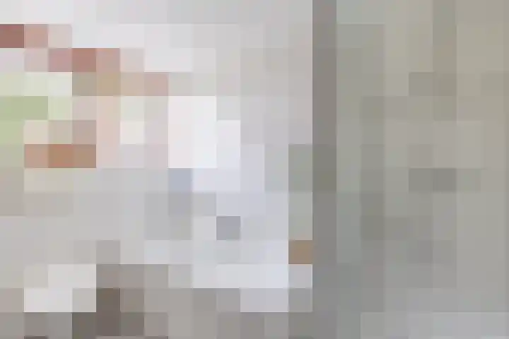 Hegewei 11 Nijega thumbnail 47