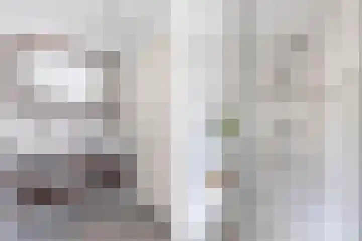 Hegewei 11 Nijega thumbnail 48