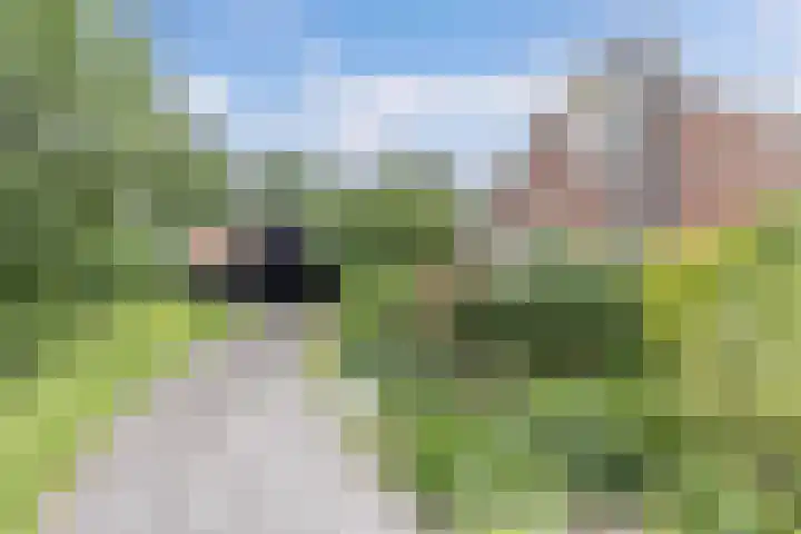Hegewei 11 Nijega thumbnail 49
