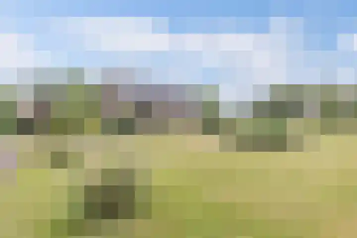 Hegewei 11 Nijega thumbnail 5