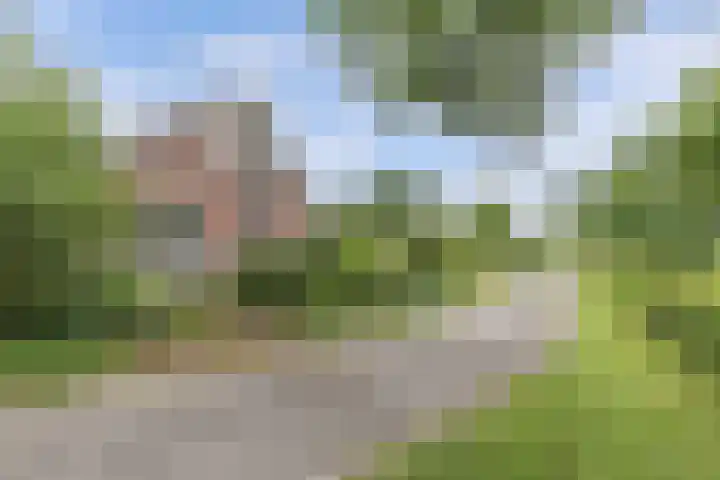 Hegewei 11 Nijega thumbnail 50