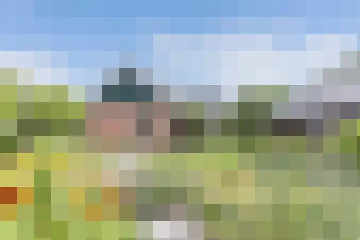 Hegewei 11 Nijega thumbnail 52