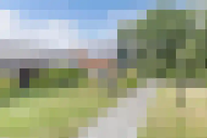 Hegewei 11 Nijega thumbnail 53