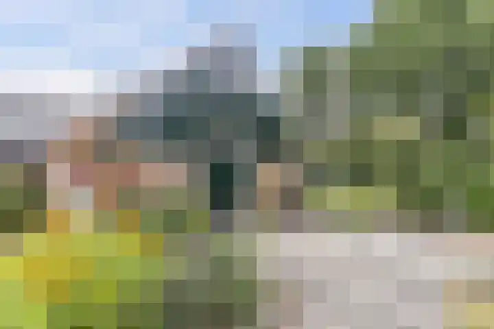 Hegewei 11 Nijega thumbnail 54