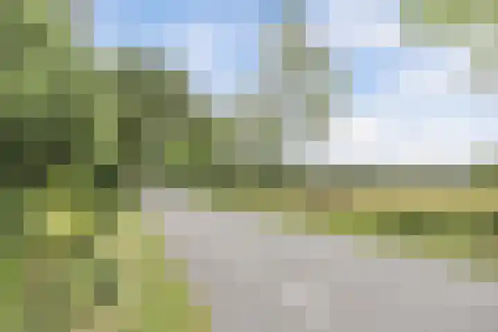 Hegewei 11 Nijega thumbnail 55