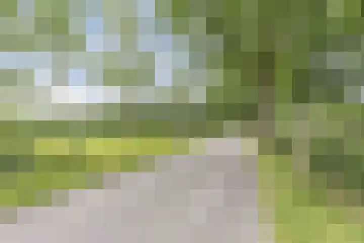 Hegewei 11 Nijega thumbnail 56