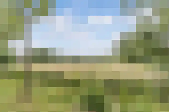 Hegewei 11 Nijega thumbnail 57