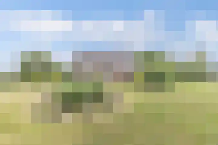 Hegewei 11 Nijega thumbnail 6