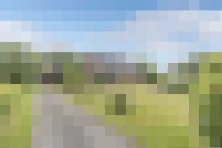 Hegewei 11 Nijega thumbnail 61