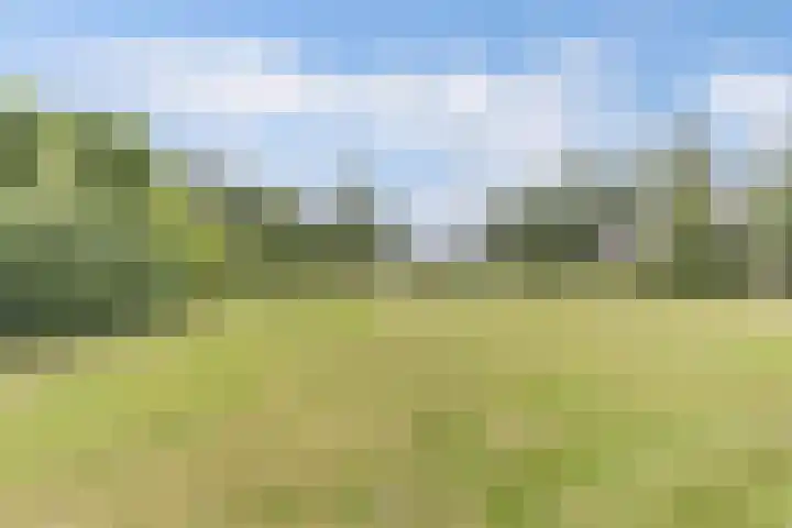 Hegewei 11 Nijega thumbnail 7