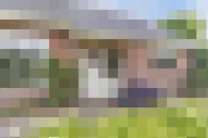 Hegewei 11 Nijega thumbnail 8