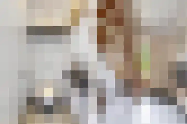 Hegewei 11 Nijega thumbnail 9