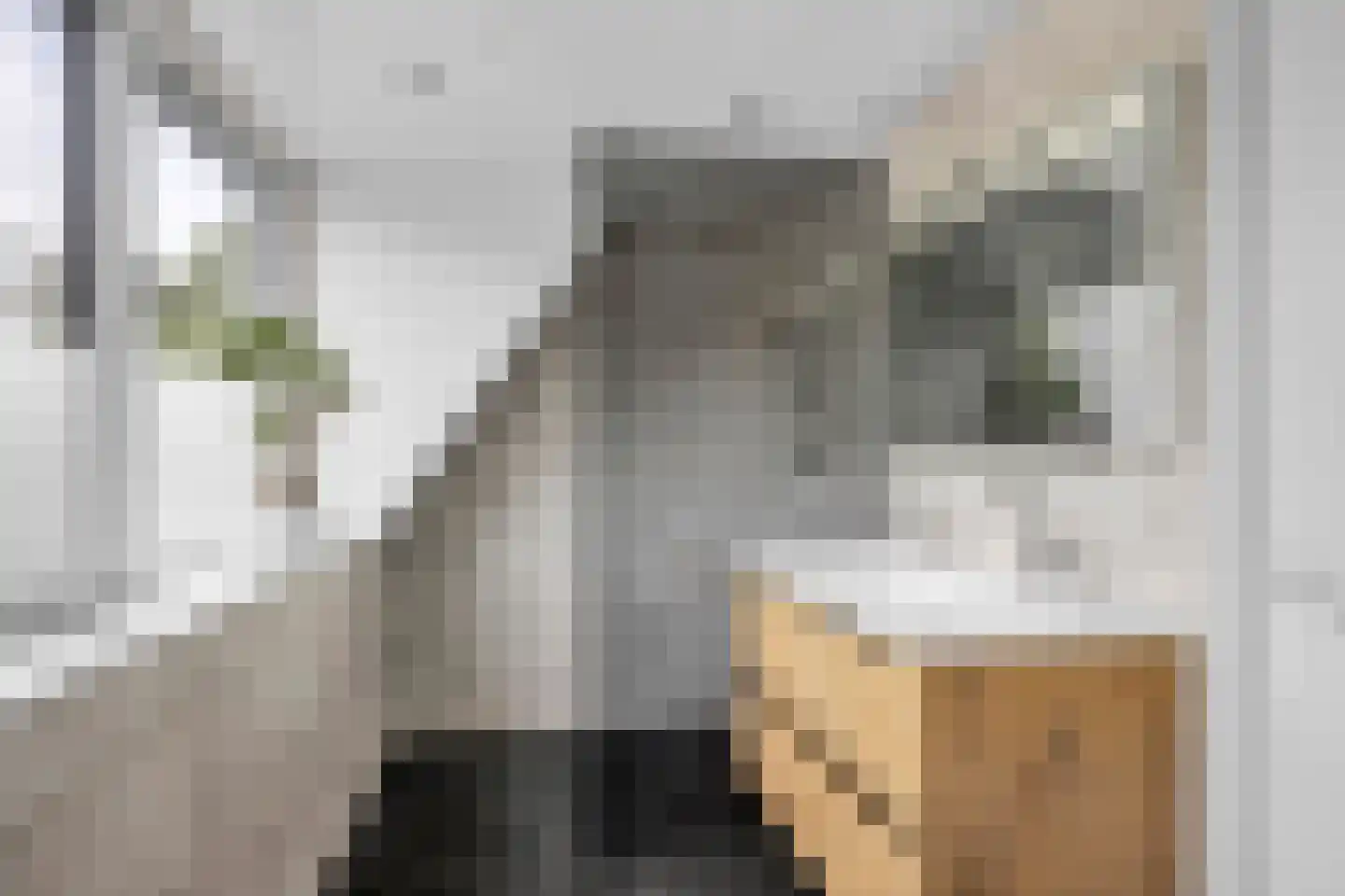 Hegewei 13 Hemelum thumbnail 25