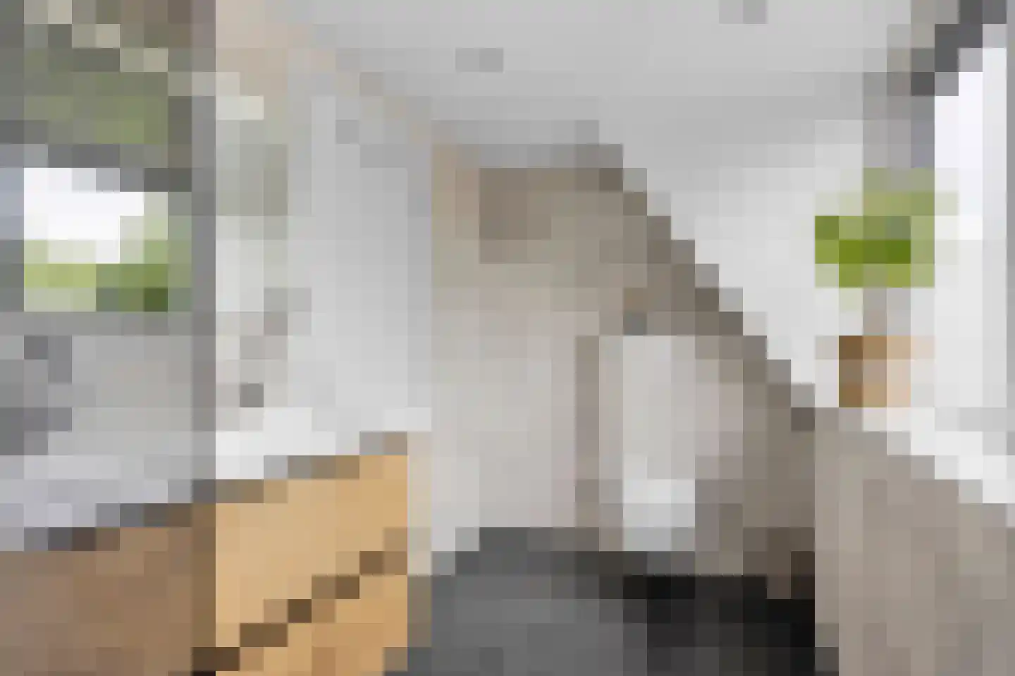 Hegewei 13 Hemelum thumbnail 26