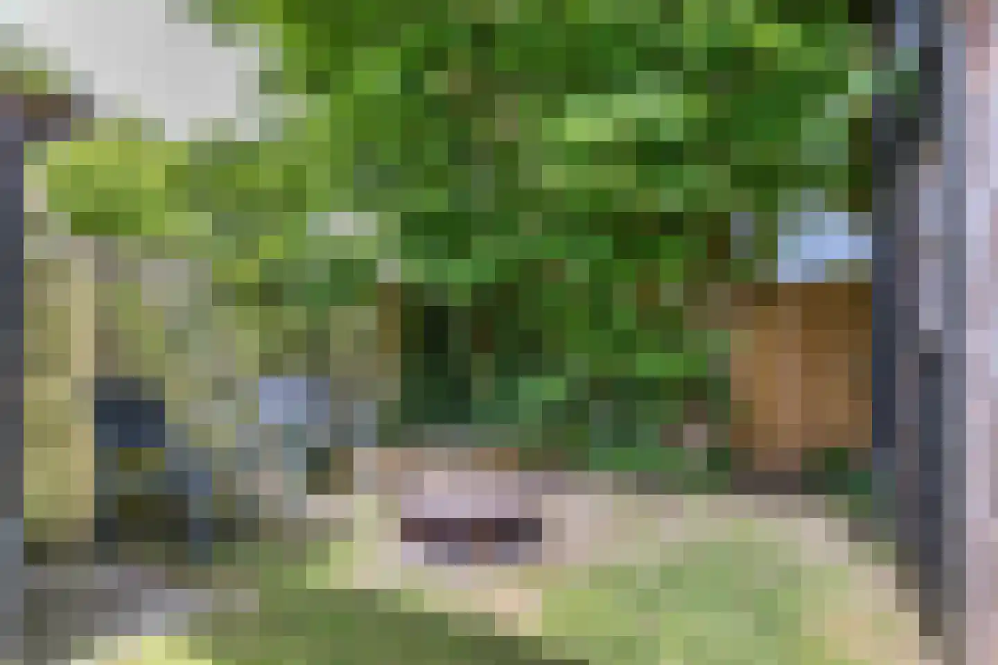 Hegewei 13 Hemelum thumbnail 29