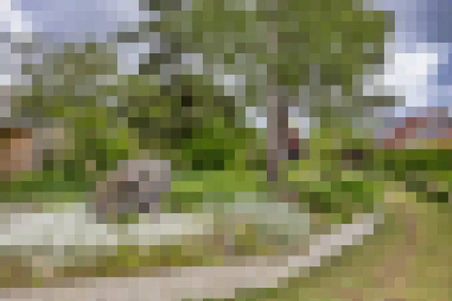 Hegewei 13 Hemelum thumbnail 36