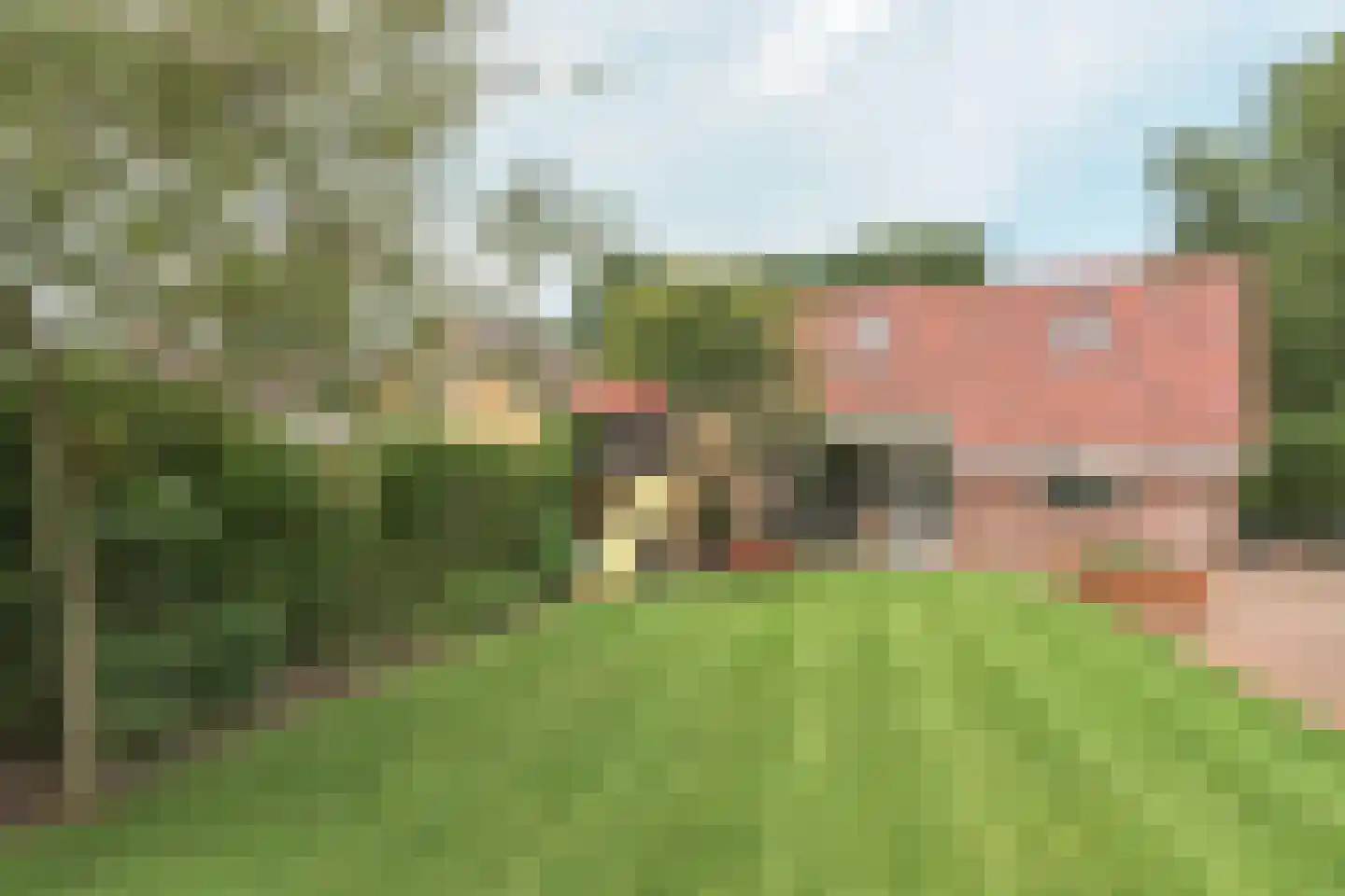 Hegewei 34 Nijega thumbnail 10
