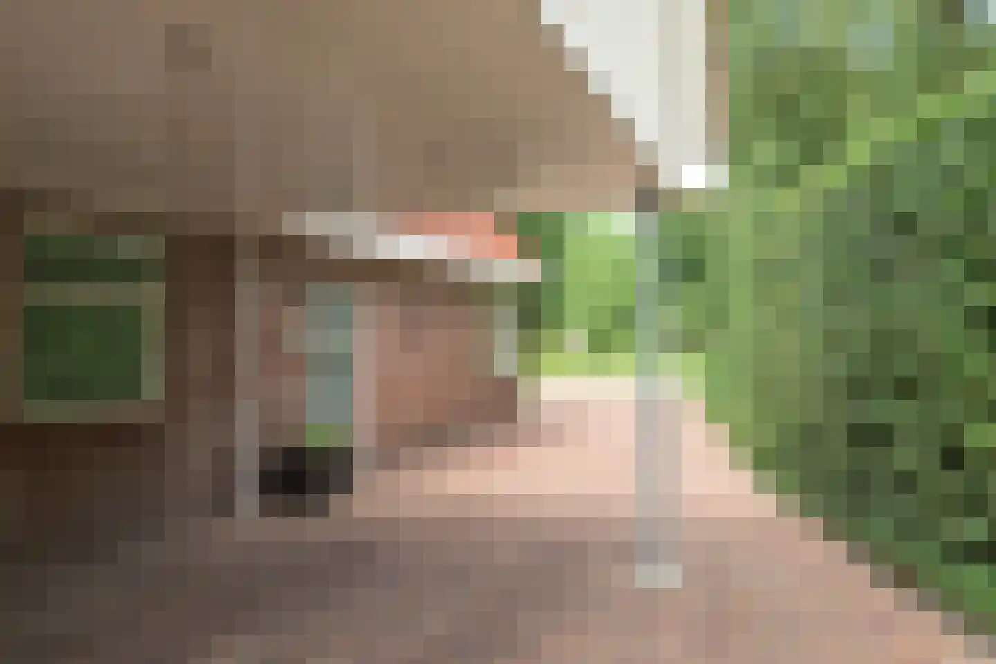 Hegewei 34 Nijega thumbnail 13