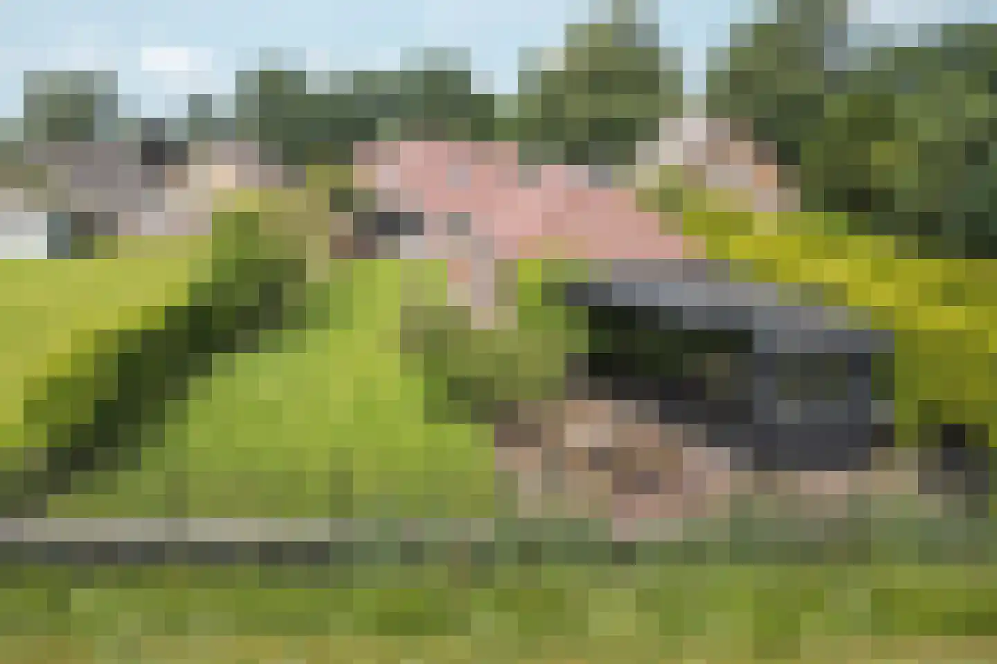 Hegewei 34 Nijega thumbnail 14