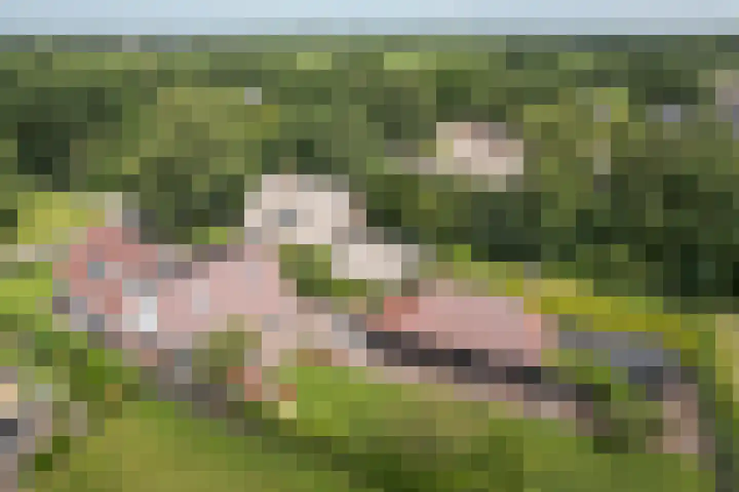 Hegewei 34 Nijega thumbnail 16
