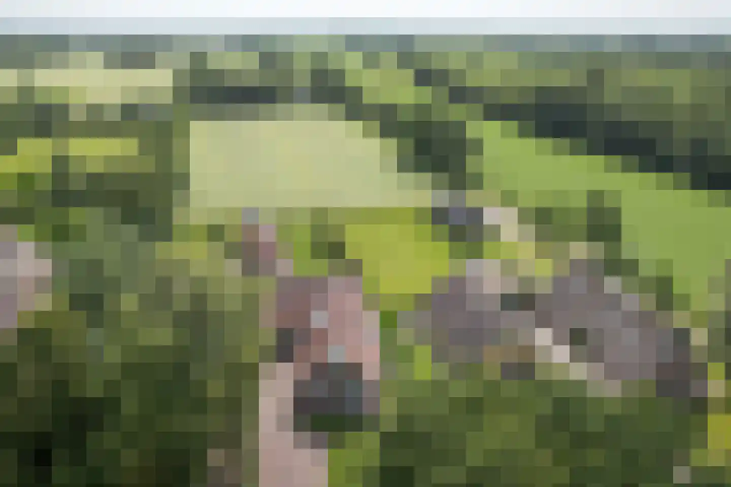 Hegewei 34 Nijega thumbnail 18