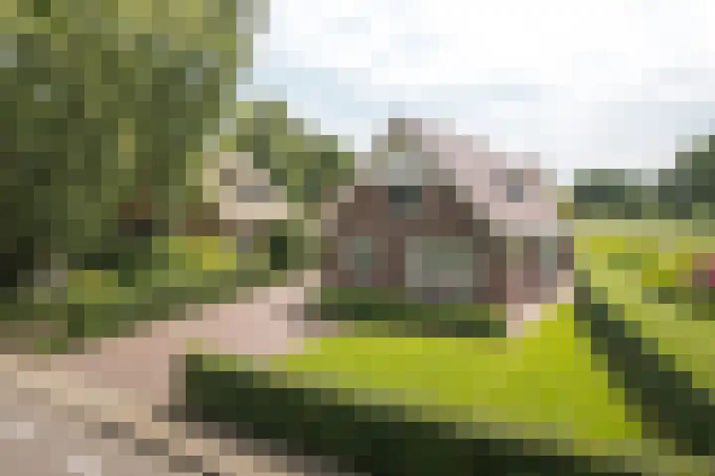 Hegewei 34 Nijega thumbnail 19