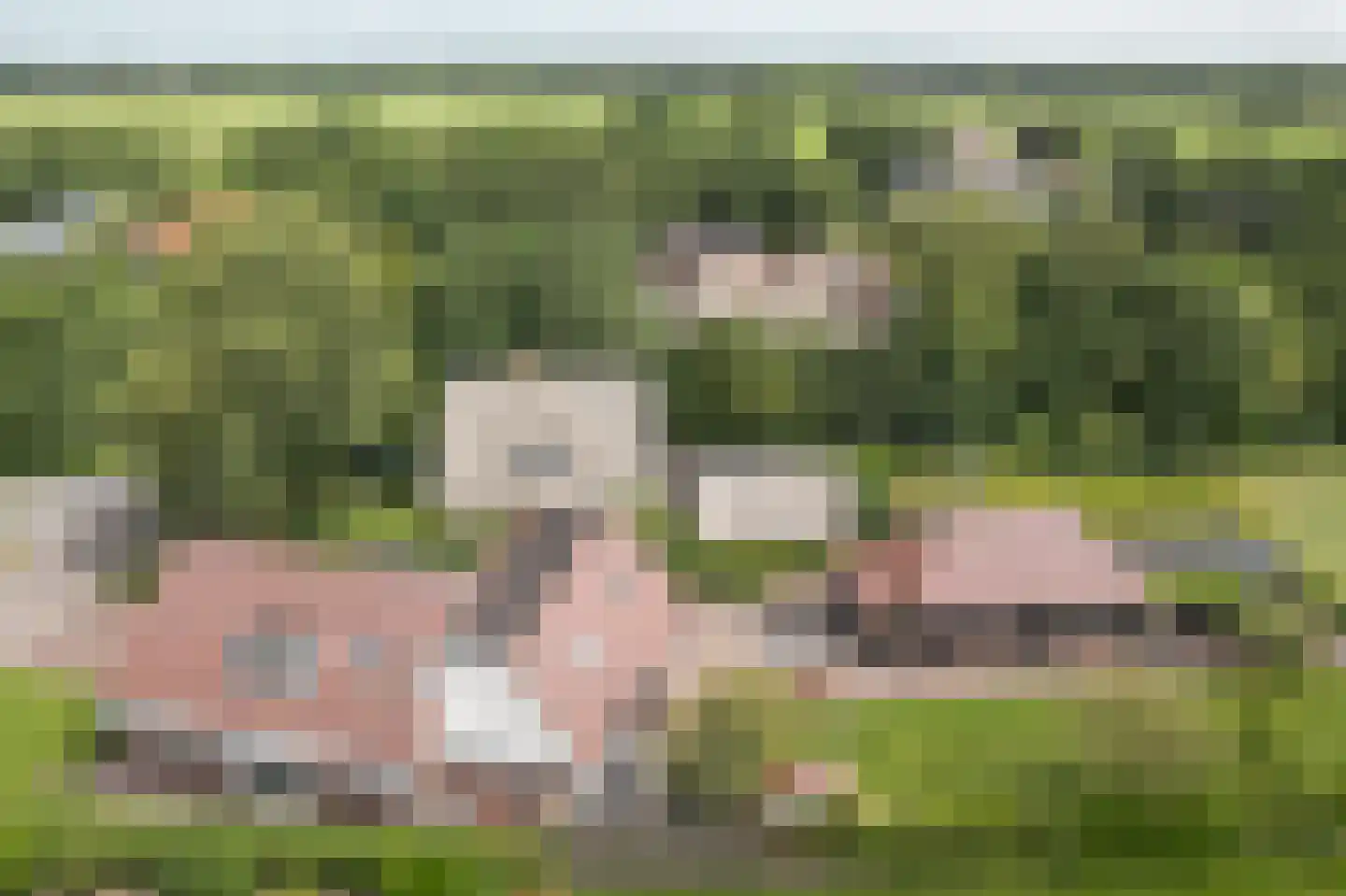 Hegewei 34 Nijega foto 2