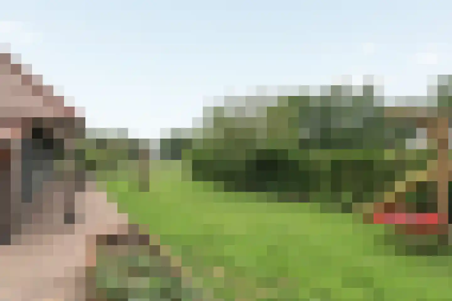 Hegewei 34 Nijega thumbnail 23