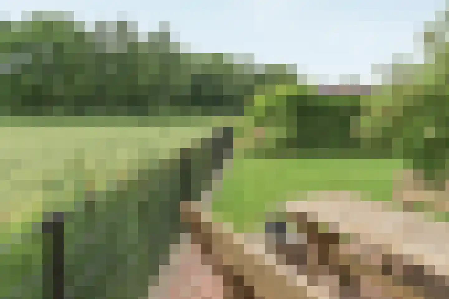 Hegewei 34 Nijega thumbnail 25