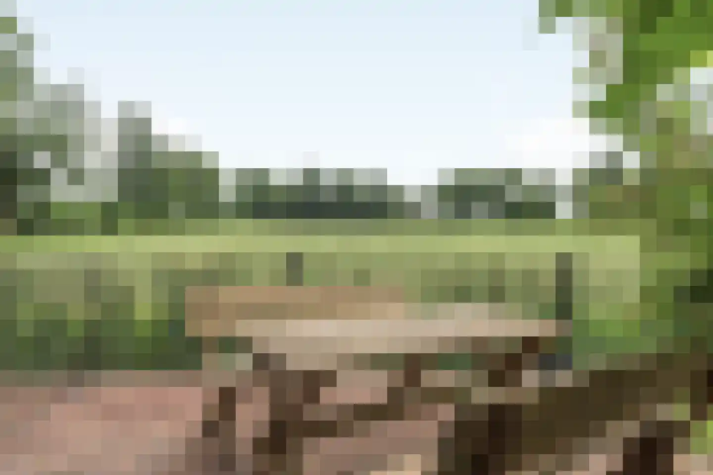 Hegewei 34 Nijega foto 3