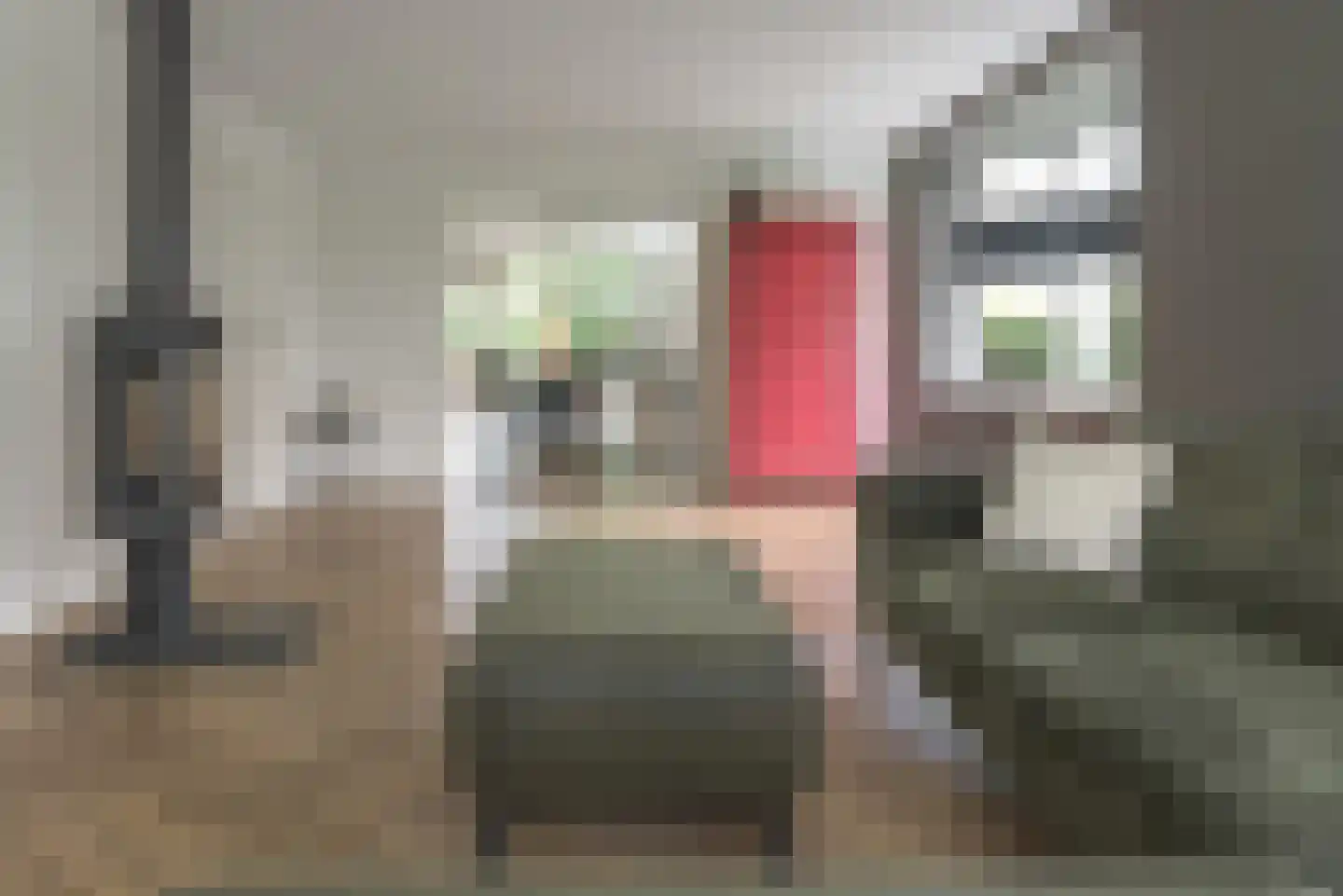Hegewei 34 Nijega thumbnail 32