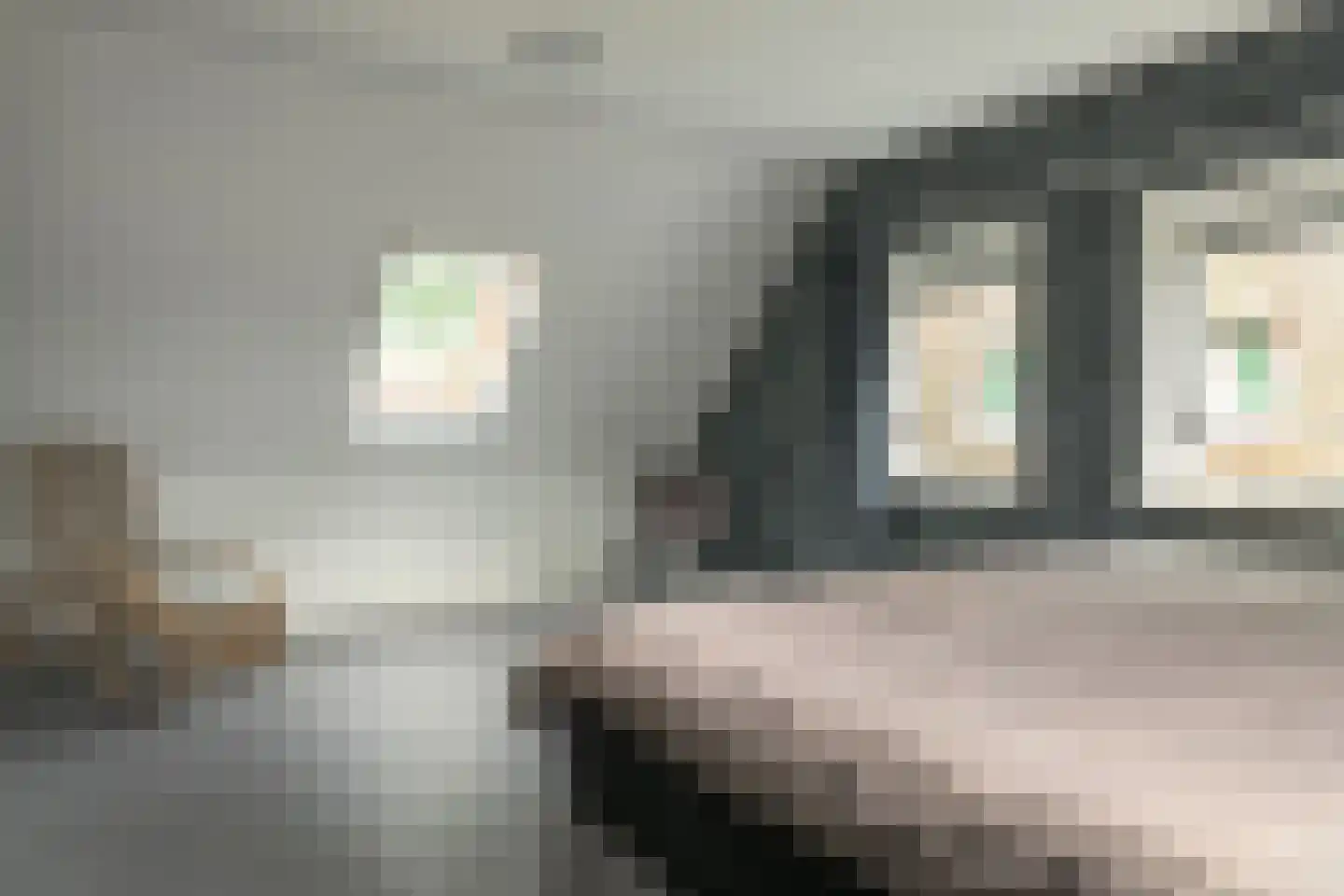 Hegewei 34 Nijega thumbnail 42