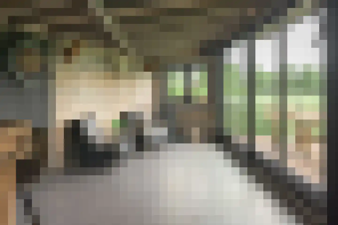 Hegewei 34 Nijega thumbnail 53