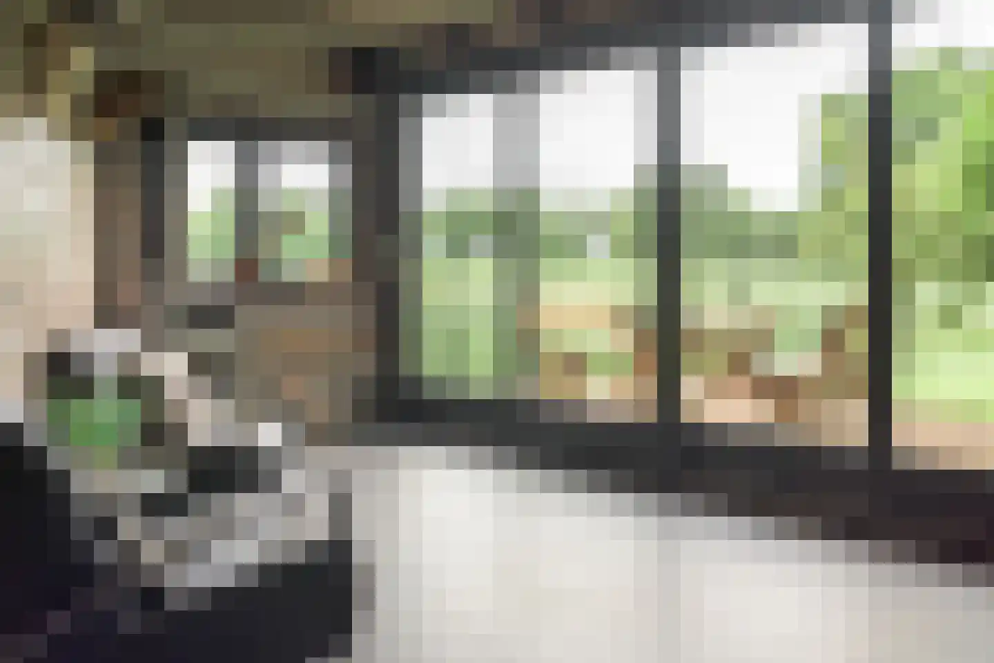 Hegewei 34 Nijega thumbnail 58